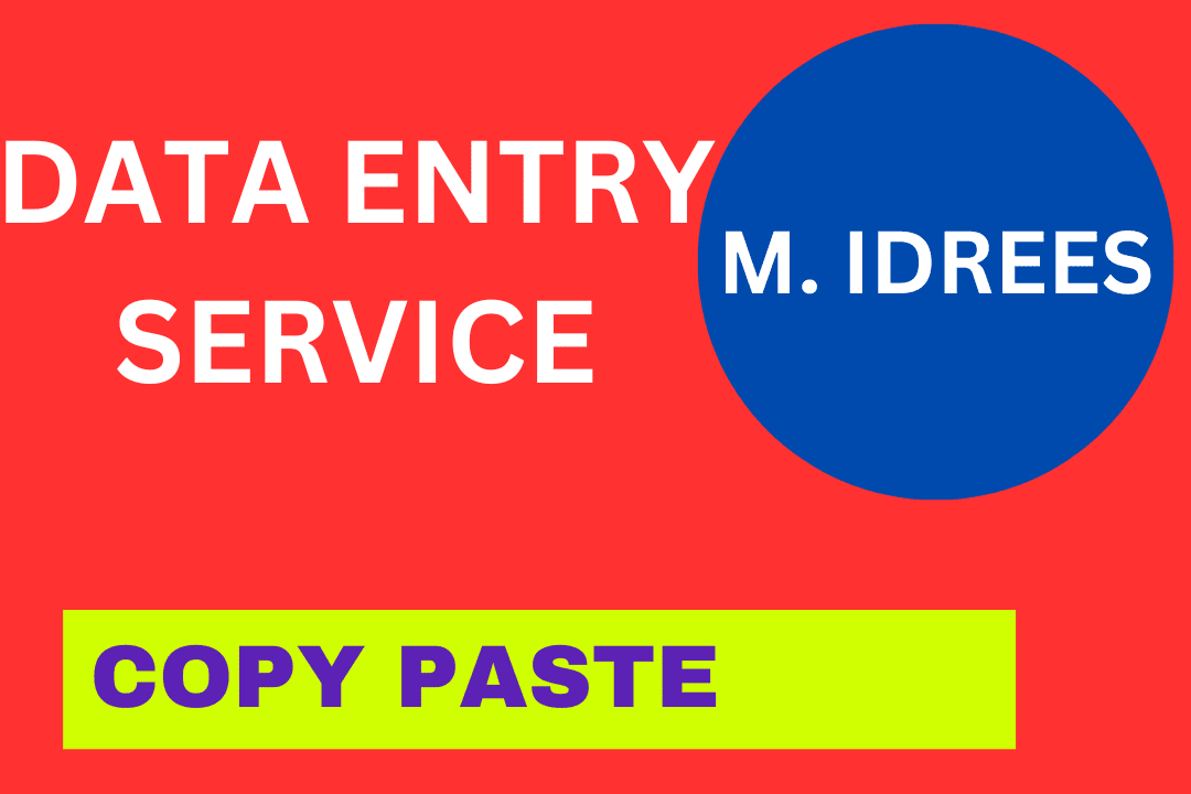 Portfolio for Professional Data Entry Expert