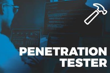 Portfolio for Website Penetration Testing