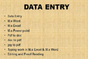 Portfolio for Data Entry, M.s Word, Pdf, doc to pdf