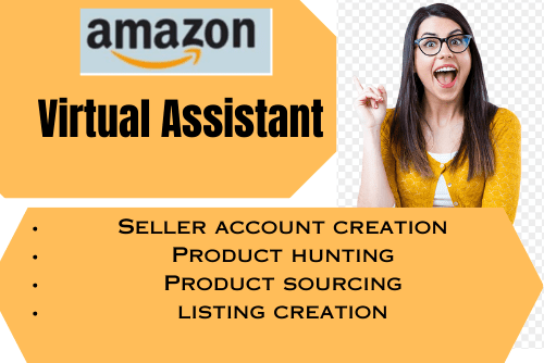 Portfolio for Amazon Virtual Assistant