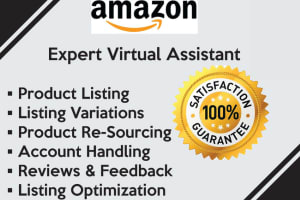 Portfolio for Amazon Virtual Assistant