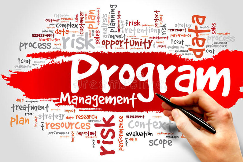 Portfolio for Project/Program Management