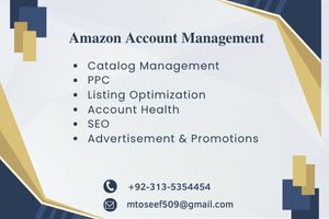 Portfolio for Amazon Account Management