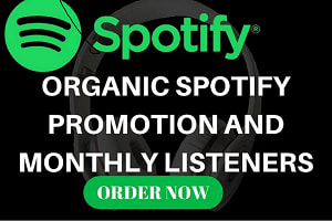 Portfolio for I will do organic spotify music promote