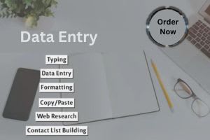 An Affordable Data Entry, Typing, Copy-Paste & Excel Spreadsheet