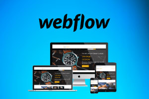 Portfolio for Webflow developer