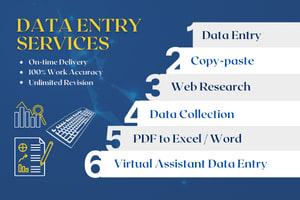 Portfolio for Accurate Data Entry Specialist