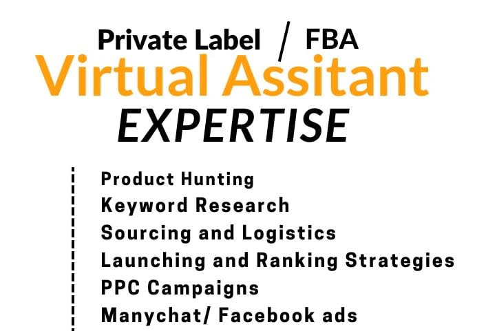 Portfolio for Amazon fba virtual assistant and PPC ADS