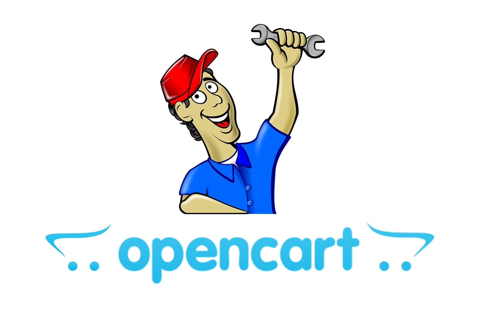 Portfolio for Opencart Development