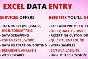 Portfolio for DATA ENTRY and typing