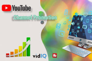 Portfolio for I will do organic YouTube Channel SEO