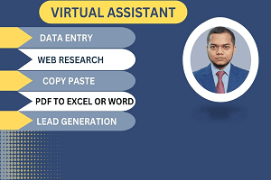 Portfolio for I will do data entry expert