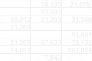 Portfolio for Data Entry
