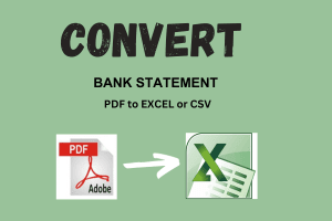 Portfolio for Convert Bank Statement PDF to excel, CSV