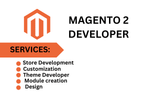 Portfolio for Magneto Website Design
