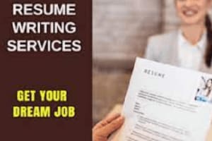 Portfolio for Resume Writing