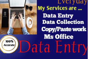 Portfolio for Data entry services in 24 hours or long