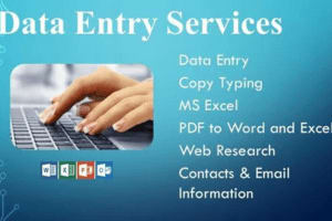 Portfolio for Data entry services in 24 hours or long