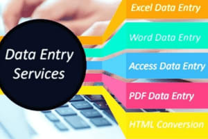 Portfolio for Fast Data Entry