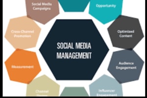 Portfolio for Social Media Manager All Services