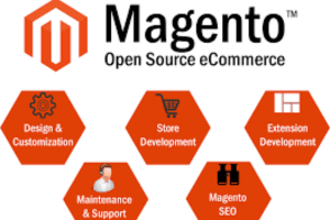 Portfolio for Magento Website Design