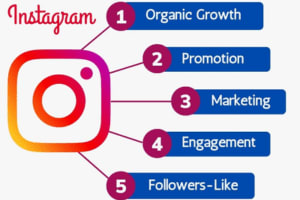 Portfolio for Instagram Marketing Expert