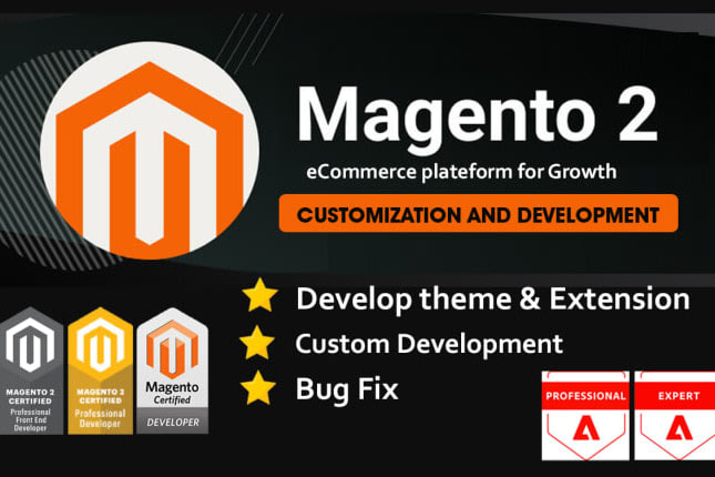 Portfolio for Magento Development