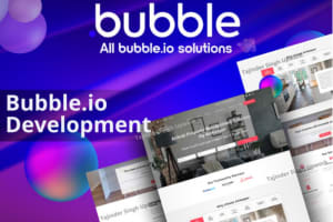 Portfolio for Bubble io app developer