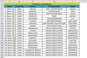 Portfolio for Data Entry Specialist