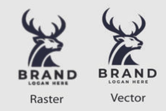 Portfolio for Vector Tracing