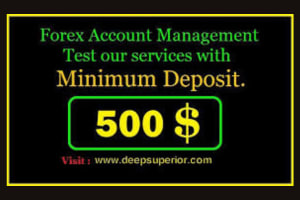 Portfolio for Forex Account Management