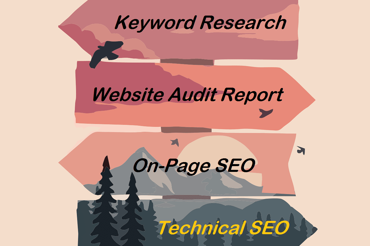 Portfolio for Search Engine Optimization
