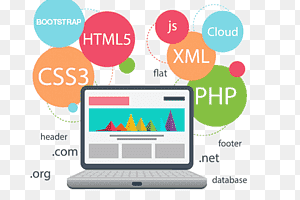 Portfolio for Website and App Development