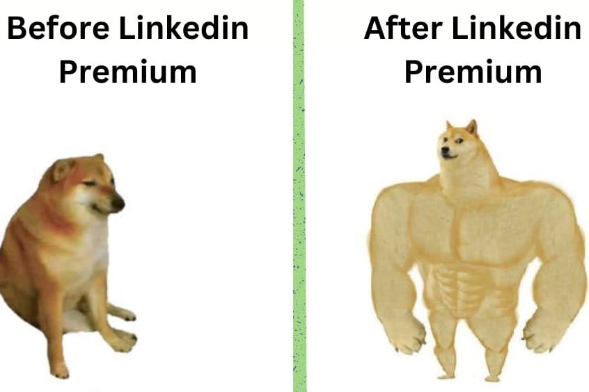 Portfolio for LinkedIn Premium Account Upgradation