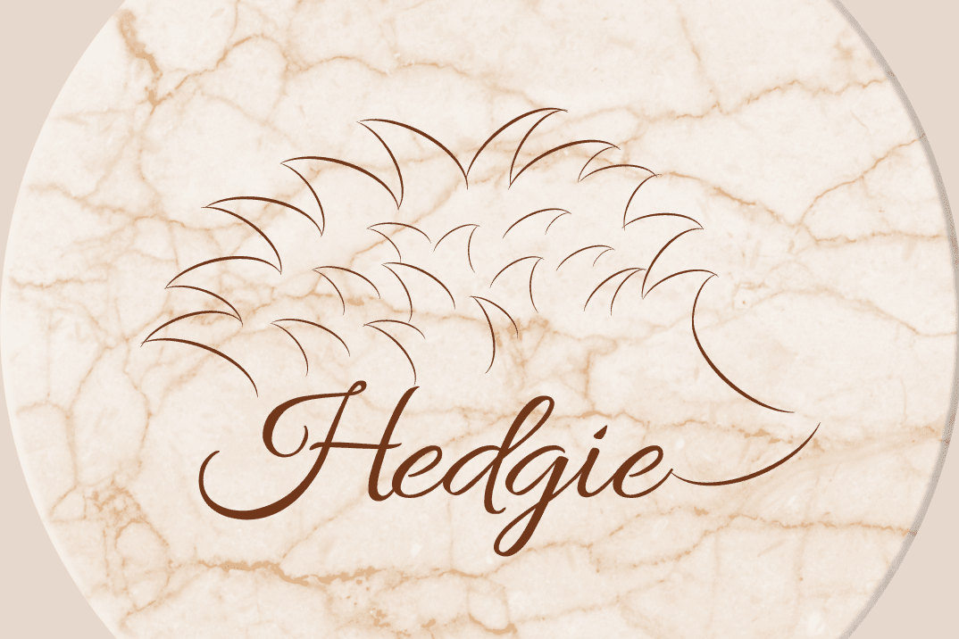 Portfolio for Graphic designer