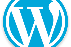 Portfolio for WordPRESS sites development  & Designing