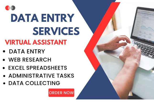 Portfolio for Data Entry