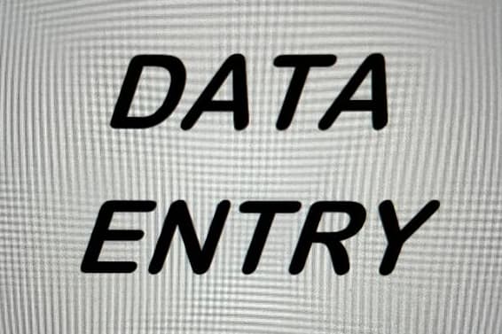 Portfolio for Data Entry