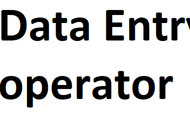 Portfolio for Data Entry operator