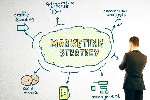 Portfolio for Marketing Strategy