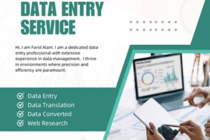 Portfolio for Data Entry and Data Translation Expert