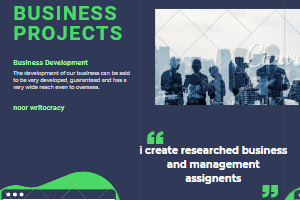 Portfolio for Business Proposal and Report Writer
