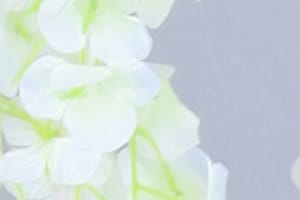 Portfolio for SEO Article Writer/Virtual Assistant