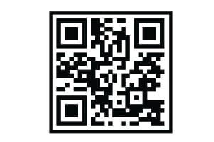 Portfolio for Technology Solutions