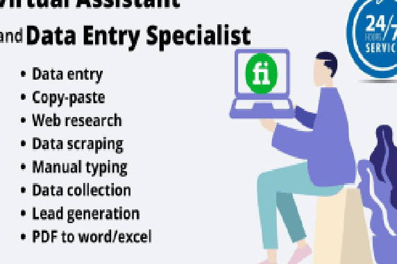 Portfolio for Data Entry, Virtual Assistant