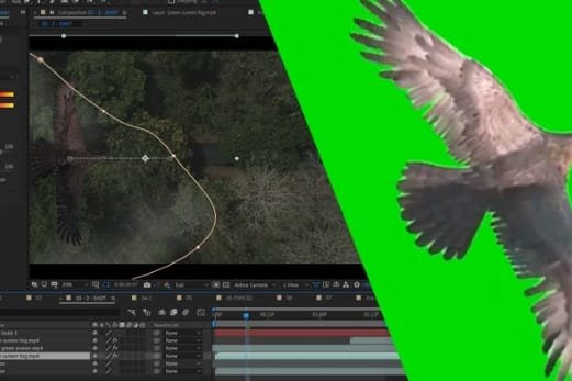 Portfolio for visual and design services