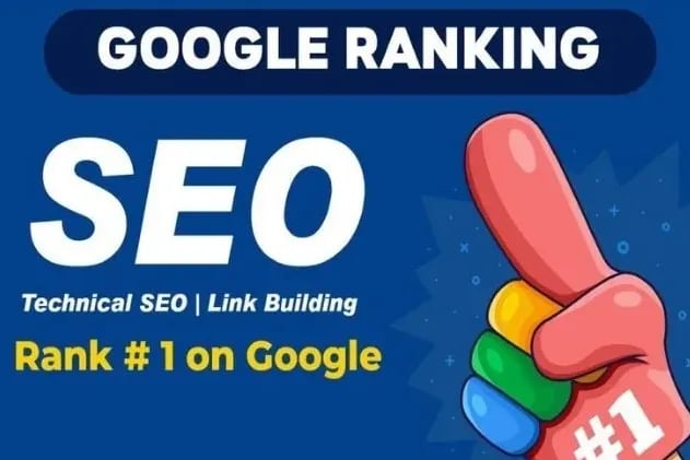 Portfolio for seo specialist|on page seo|technical seo