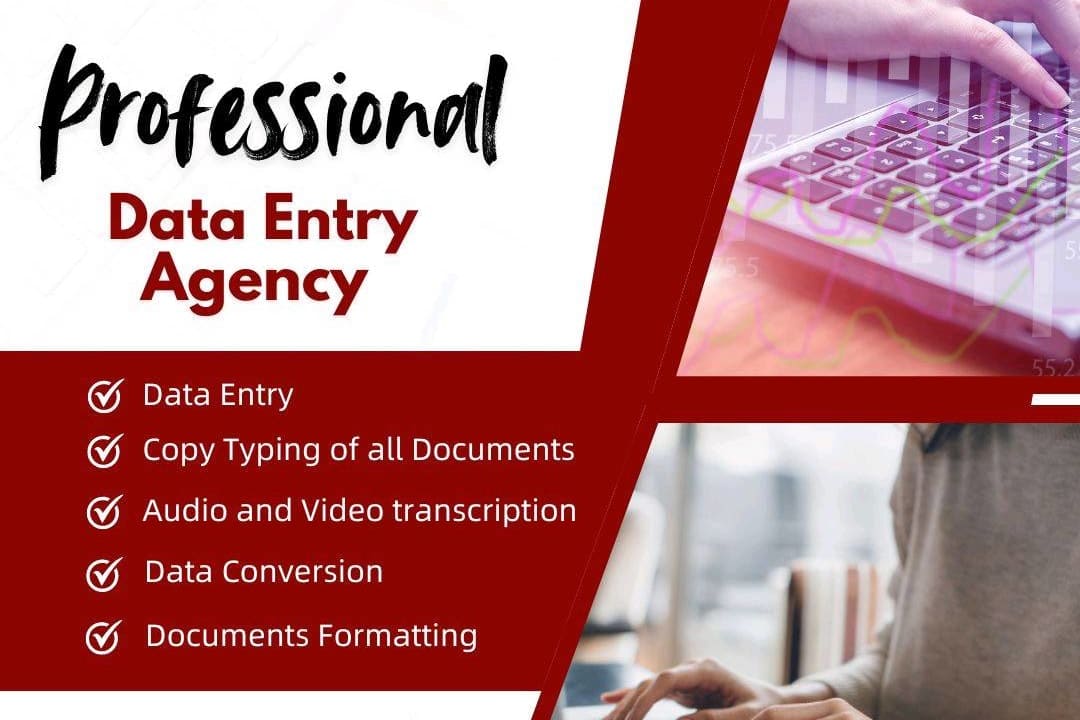 Portfolio for Data Entry