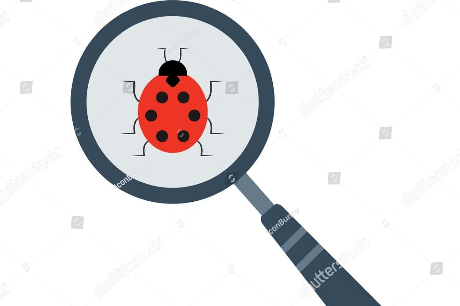 Portfolio for Software Testing