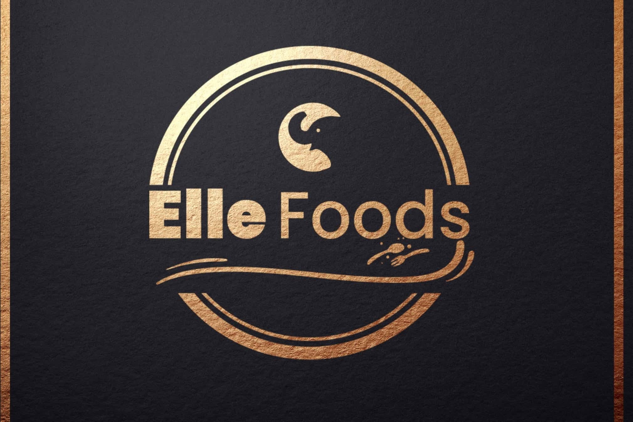 Portfolio for Logo Designer